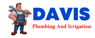 Trusted plumber in SWINK